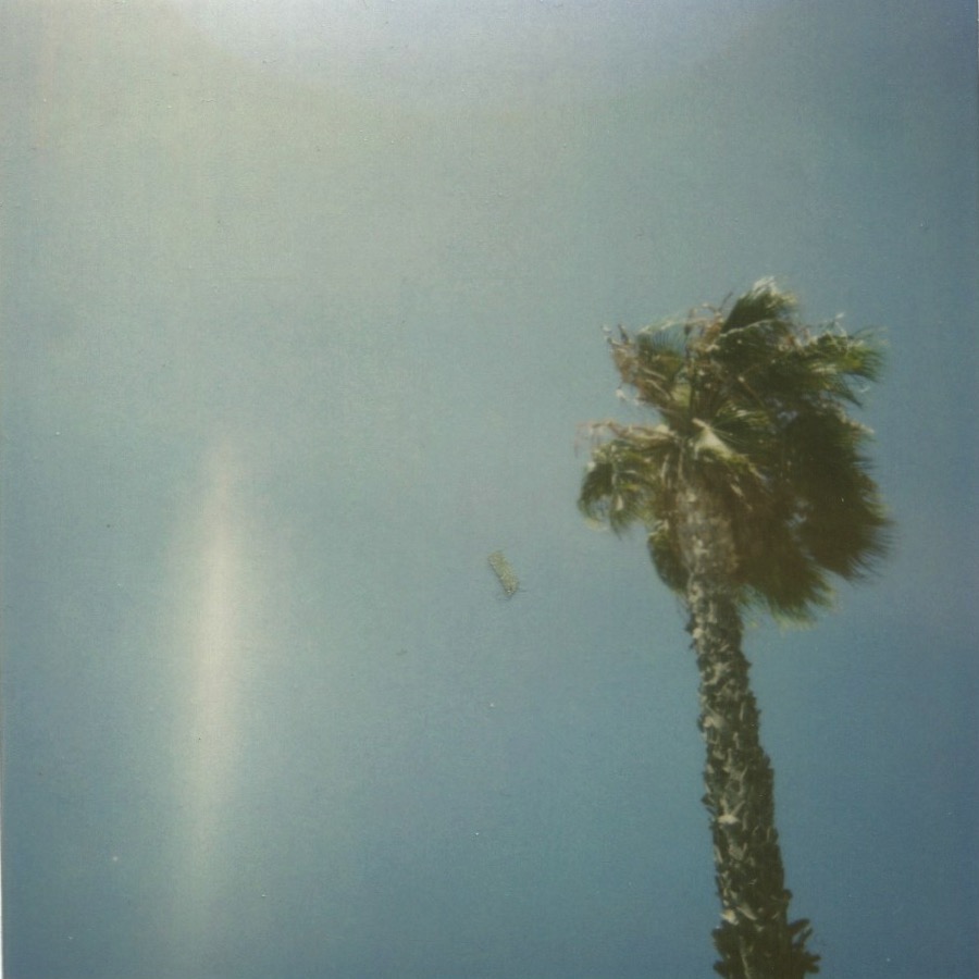 first of many palms san diego, california august 2010 legacy polaroid