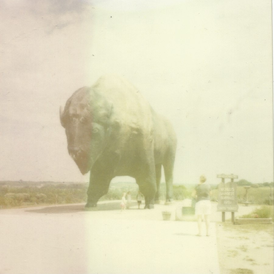world’s largest buffalo jamestown, north dakota july 4, 2013  legacy polaroid (very expired)