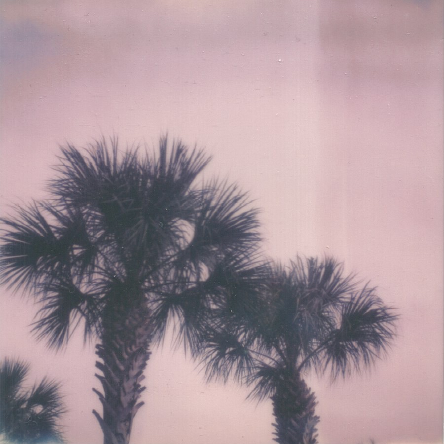 caption on back: ugh orlando, florida september 25, 2013  impossible project