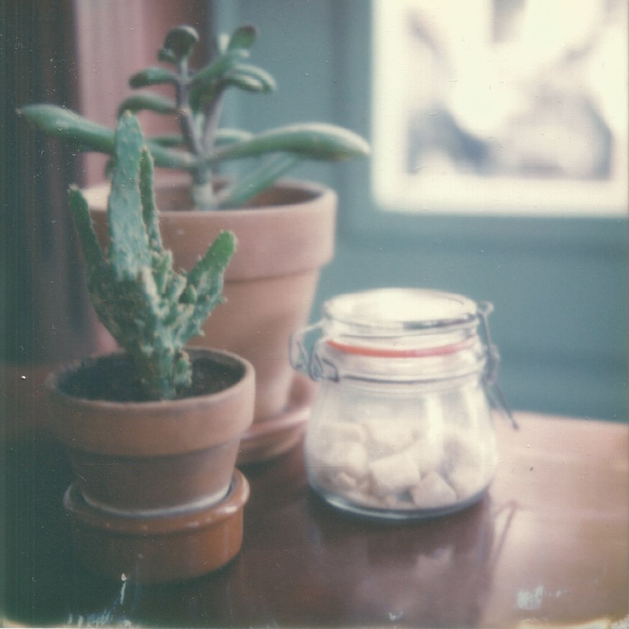 koffie ende koeck amsterdam, netherlands november 12, 2016 impossible project