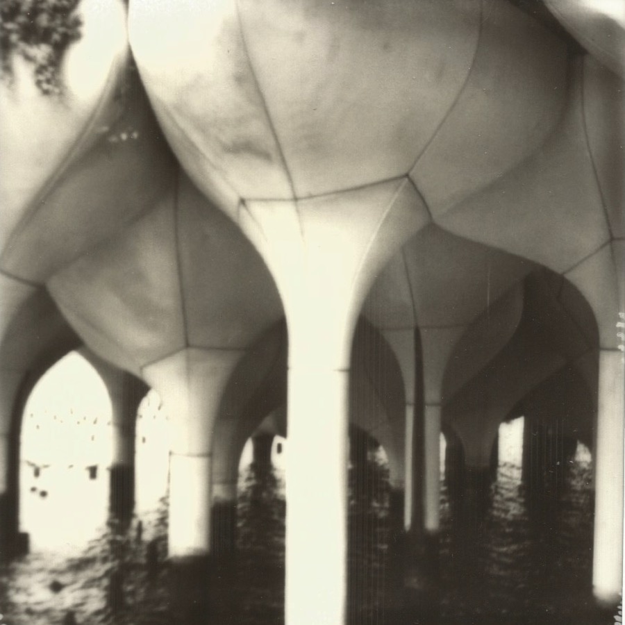 little island new york, new york may 24, 2025 polaroid