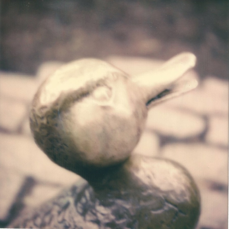 public garden boston, massachusetts may 29, 2019 polaroid