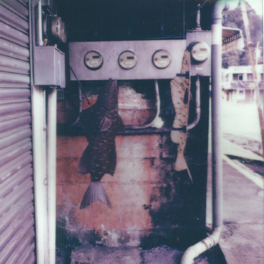 outside the seafood shop quepos, costa rica january 21, 2026 polaroid