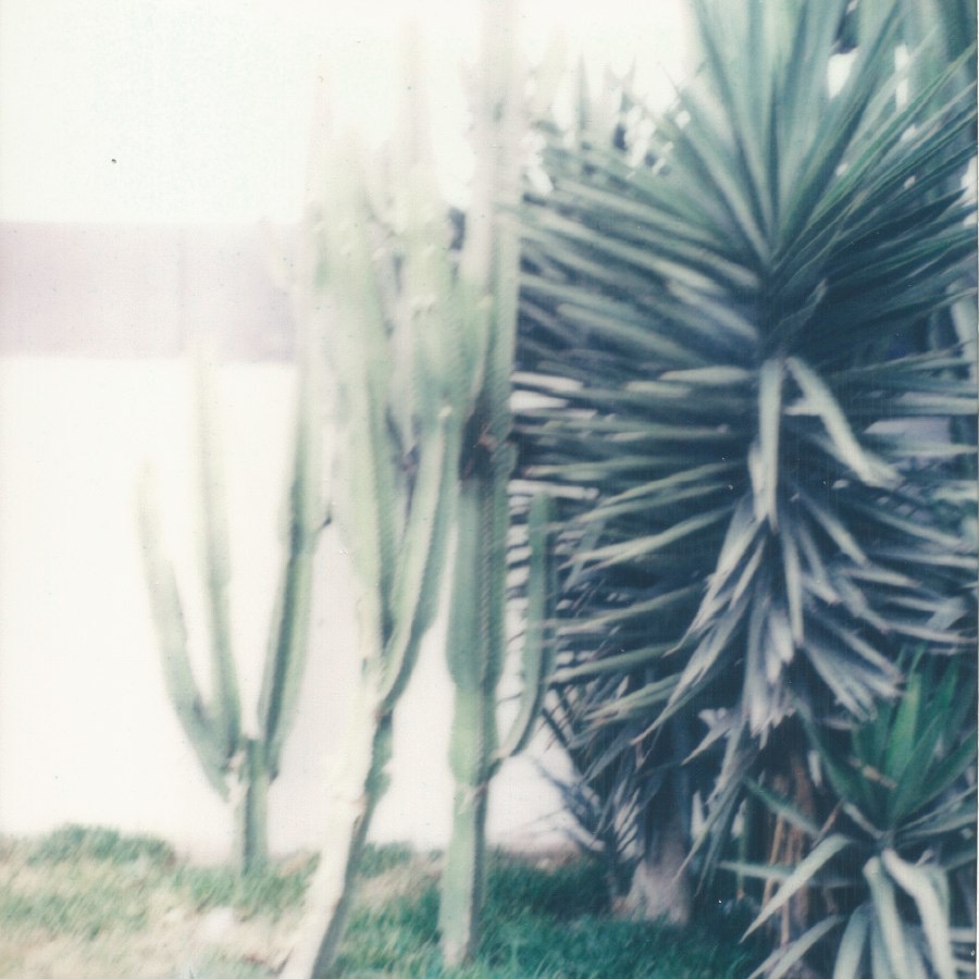 by the bellavista mall callao, peru thursday 23, 2023 polaroid