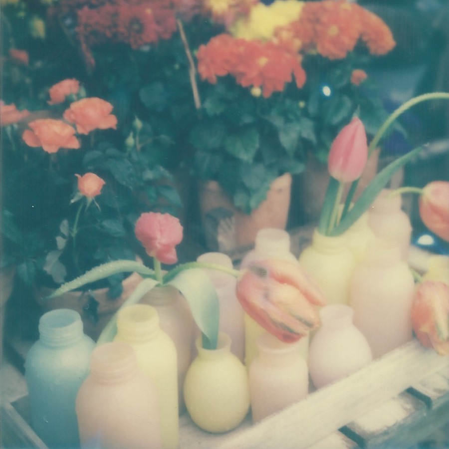 on the way to the ferry amsterdam, netherlands april 15, 2016 impossible project