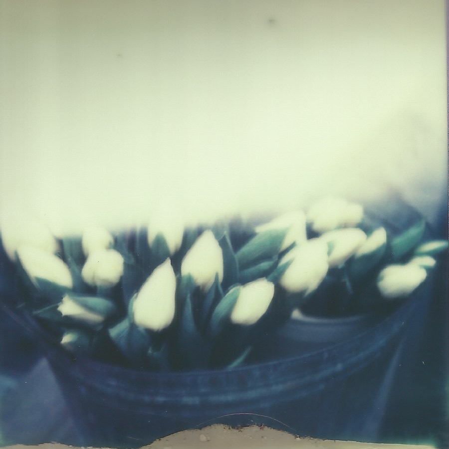 wandering berlin, germany december 29, 2013 impossible project