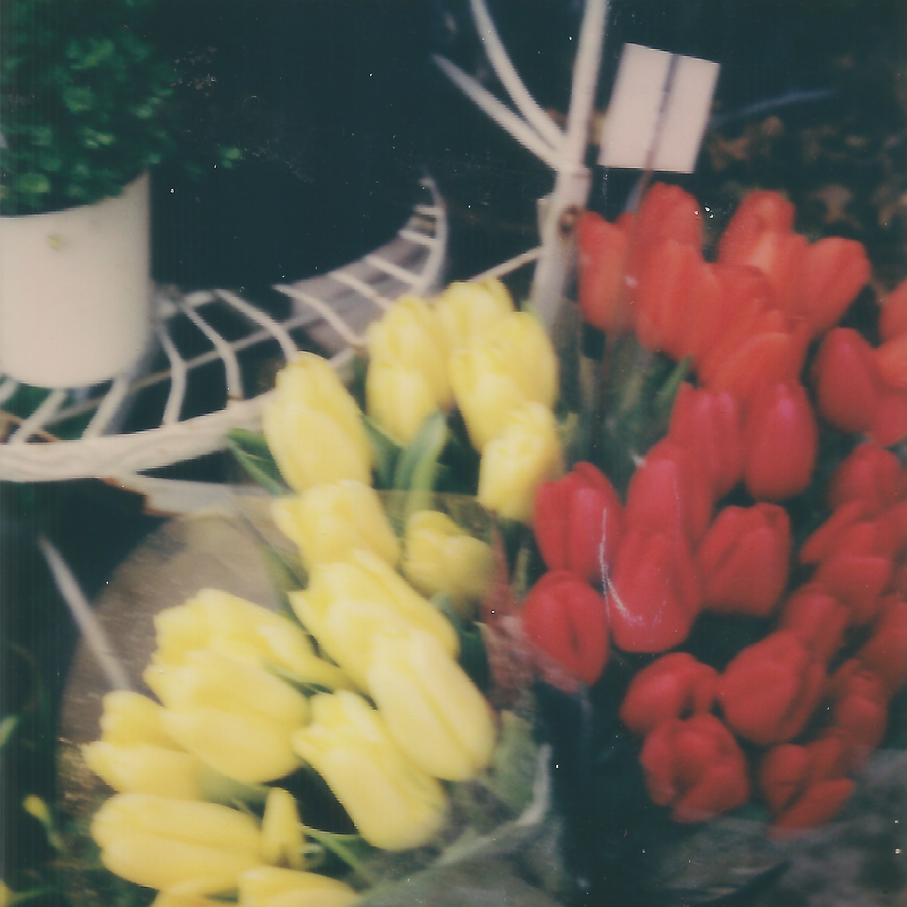 tremont street boston, massachusetts march 9, 2022 polaroid