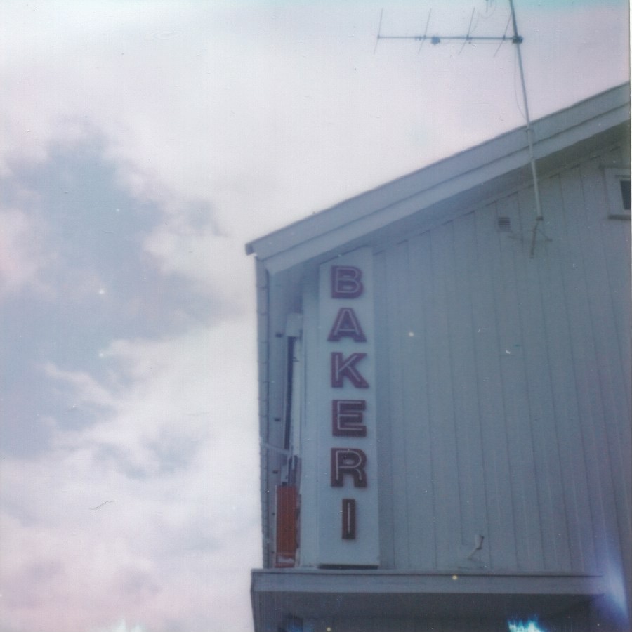on the way to bergen geilo, norway august 14, 2026 polaroid