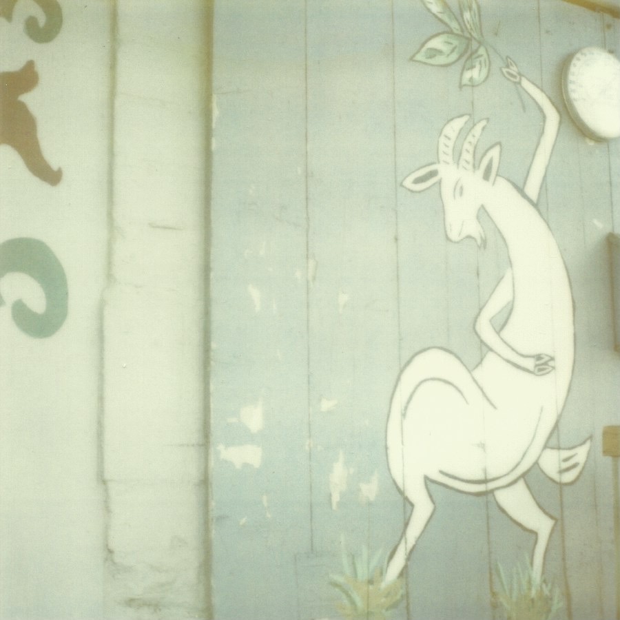 again, why was i here? elko new market, minnesota august 10, 2012 legacy polaroid (expired)